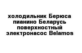 холодильник Берюса пианино Беларусь поверхностный электронасос Belamos 